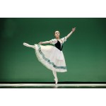 Free Shipping Custom Made Ballet Dresses,Adult or Children Giselle Ballet Dance Dress Tutus Ballet Skirts