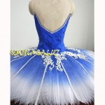 Blue Bird Tutu Professional Ballet Tutus,Sleeping Beauty Pancake Ballet Dress Woman Girls Classical Ballet Stage Costume