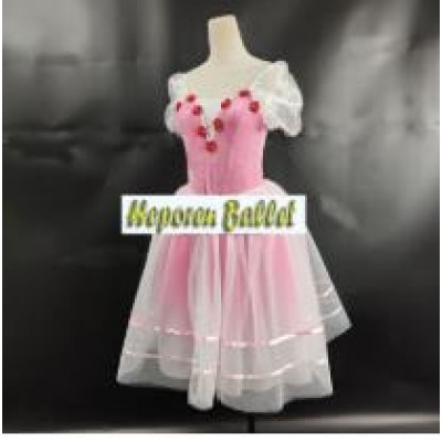 Free Shipping Custom Made Ballet Tutu Costume One Piece,Adult or Children Giselle Ballet Dresses Ballet Skirts Swan Lake