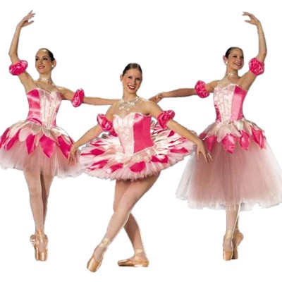 Pink Ballerina Flower Leaf Fairy Long Ballet Dress,Adult Peach Tree Leaves Petal Ballet Skirts Free Ship Dropshipping