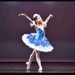 Customized Girl Blue Bird Ballet Tutu Dresses,Ballet Dress Design Dance Tutu,Best Selling Anna Shi Classical Spandex  Stage Tutu