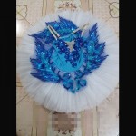 Customized Girl Blue Bird Ballet Tutu Dresses,Ballet Dress Design Dance Tutu,Best Selling Anna Shi Classical Spandex  Stage Tutu