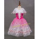 High Quality Ballerina Primadonna Ballet Costume Inspiration Flower Ballet Dress,Waltz of Flowers Boulder Ballet Dress