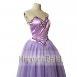 New professional High Quality Customized adult ballet dress, lace ballet dance skirt, purple fluffy Custom performance Costume