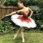 custom children or Adult ballet skirt light Pink or Wine flocking  TUTU with hard plate dress Sleeping beauty  stage performance