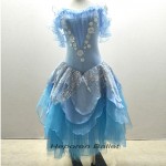 Dance Ballerina Ballet Tutus of Waltz of the Flower from Nutcracker stage performance, Adult Girls Swan Ballet Dress Custom made