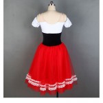 Red Giselle Ballet Dresses,Adult or Children Gypsy Ballet Dance Dress Tutus Ballet Skirts