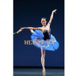 Custom Made Doflamingo Ballet Tutu Dress With Hard Layers,Professional Ballet Tutu Competition Adult or Children Tutus